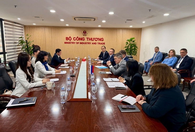 Vietnam, Russia seek to expand partnership in industry, energy, trade